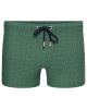 Ramatuelle beno vista stretch swim short d.green