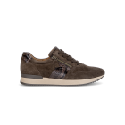 Gabor Sneaker Dreamvel. Boa Lack Engl.brown/Mocca