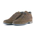Cycleur Manton DBrown