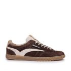 Floris v Bommel de Zaler DBrown-G½