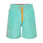 Ramatuelle caicos swim short lagune