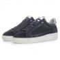 Floris v Bommel  13265/04 D.BlueSuede