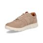 Berkelmans Sears Grey Suede