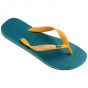 Havaianas brasil logo slipper Vibe green