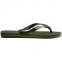 Havaianas brasil logo slipper green/green