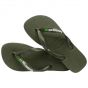 Havaianas brasil logo slipper green/green