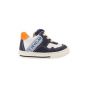 Develab Boys Firststep Low Cut Laces Navy Suede