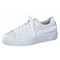 Paul-Green 5241 Mastercalfs Wit
