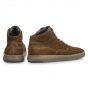 Floris v Bommel Lenni 02.10-Cognac G1/2