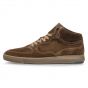 Floris v Bommel Lenni 02.10-Cognac G1/2