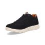 Berkelmans Sears Navy Suede