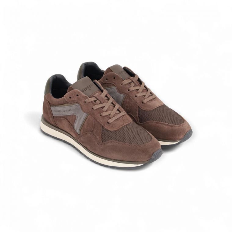 Cycleur de Luxe CDLM252253 Desert Palm