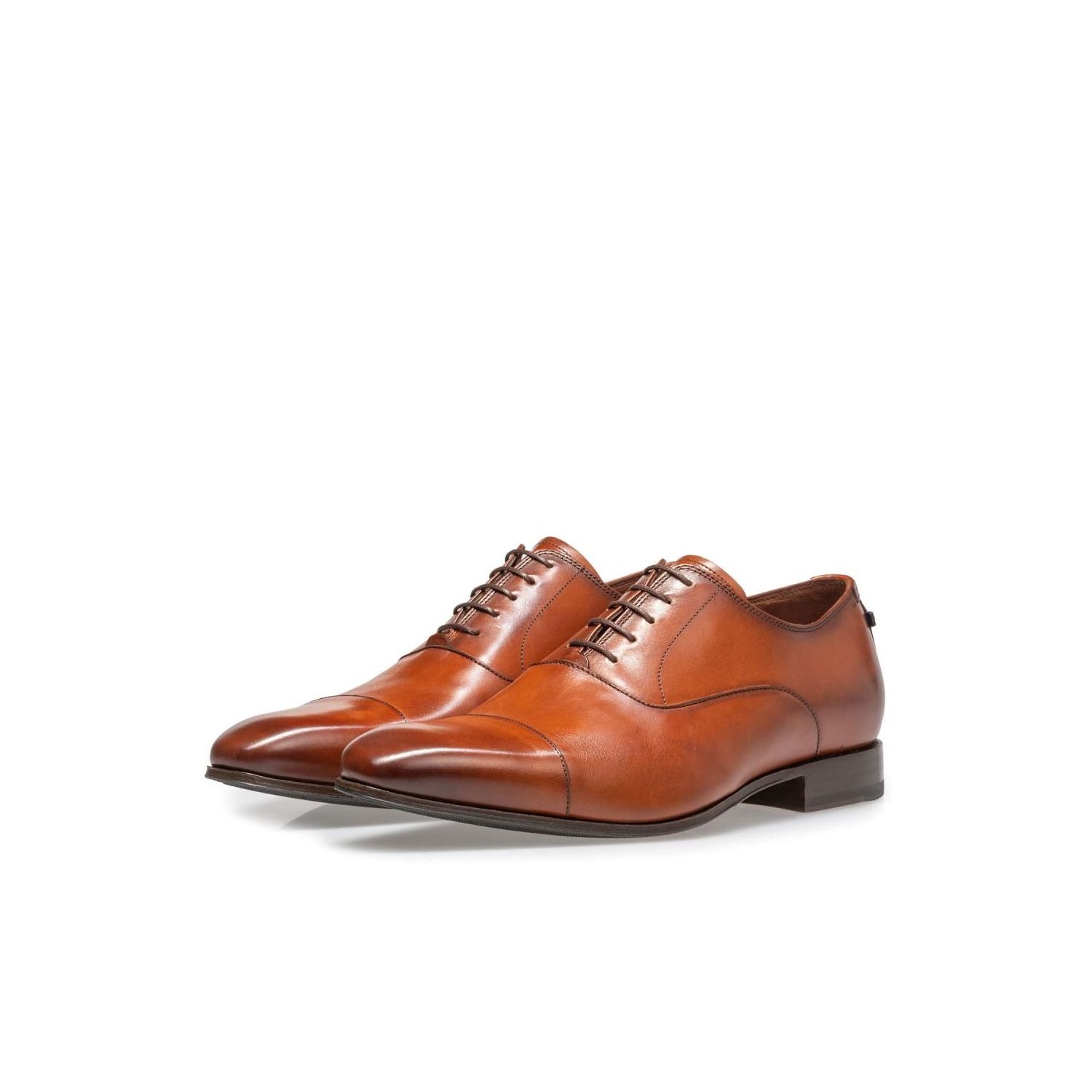 Floris van Bommel SFM-30110-Gilli Cognac