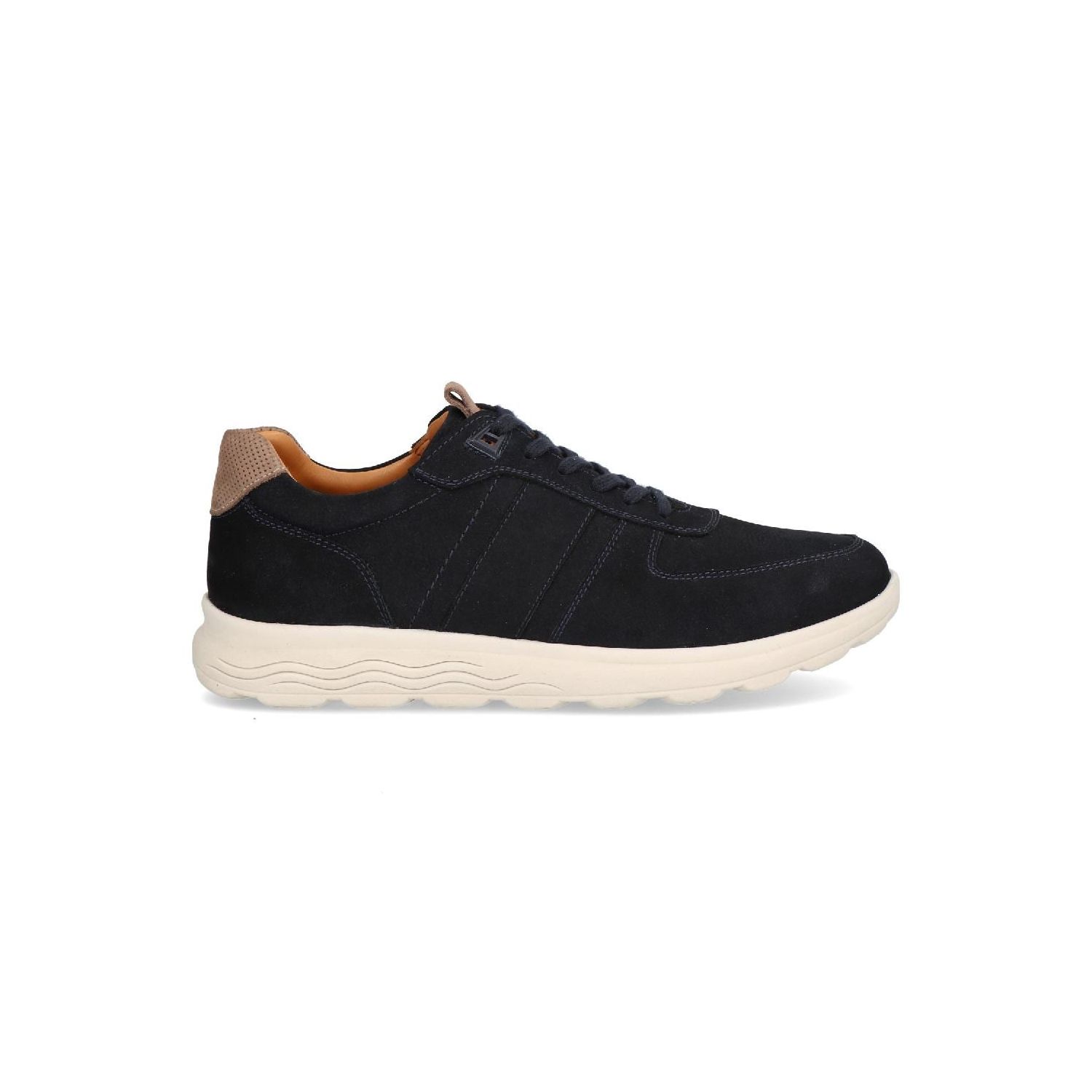 Berkelmans Sears Navy Suede