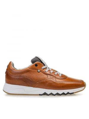 Floris v Bommel 16397/02 Cognac G1/2