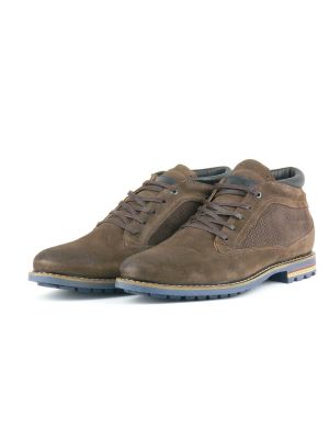 Cycleur Manton DBrown