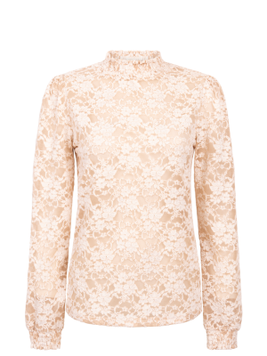 Aaiko tory lace pes top cream3